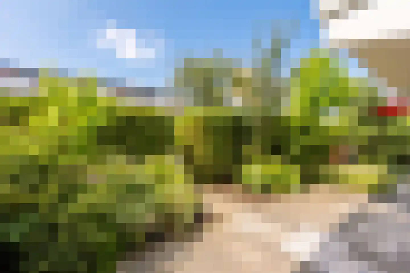 Van Vollenhovenlaan 208 Utrecht thumbnail 5