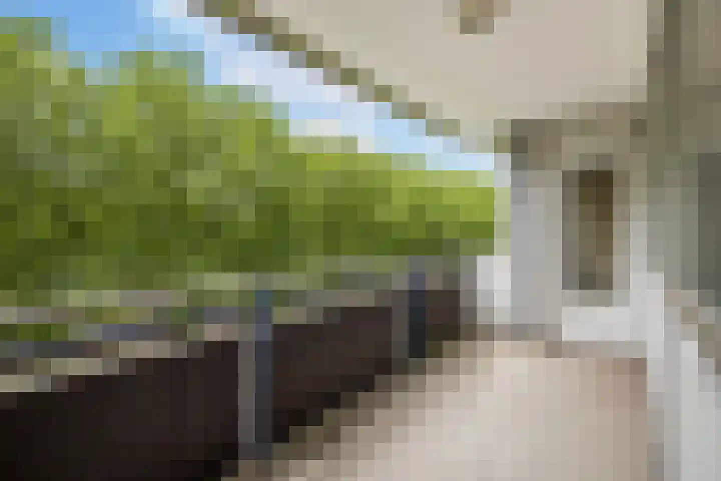 Van Vollenhovenlaan 217 Utrecht thumbnail 22