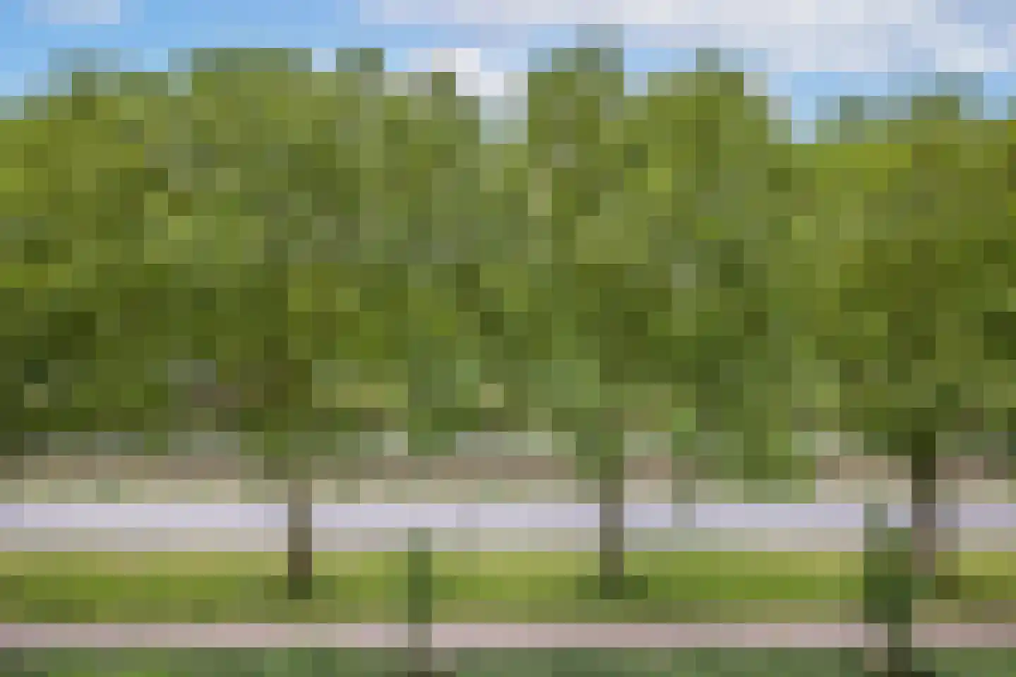 Van Vollenhovenlaan 217 Utrecht thumbnail 24