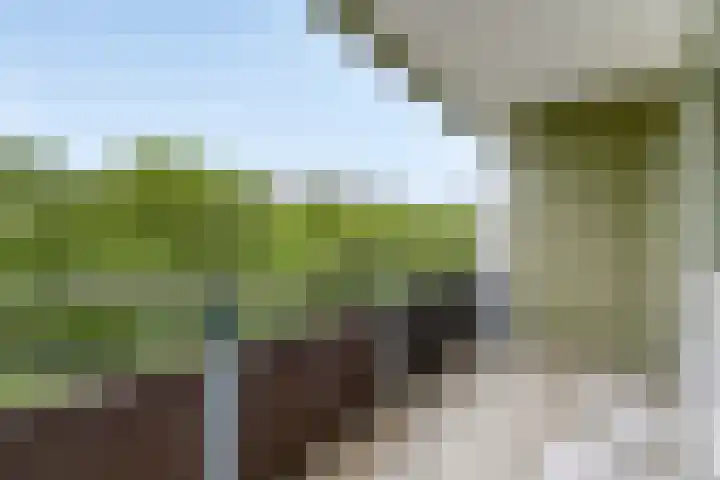 Van Vollenhovenlaan 231 Utrecht thumbnail 13