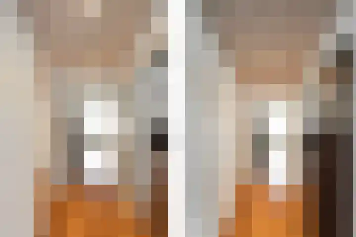 Van Vollenhovenlaan 265 Utrecht thumbnail 20