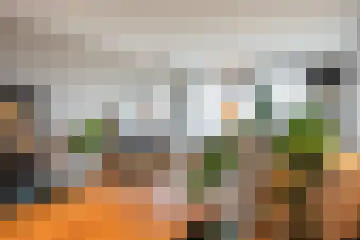 Van Vollenhovenlaan 265 Utrecht thumbnail 4