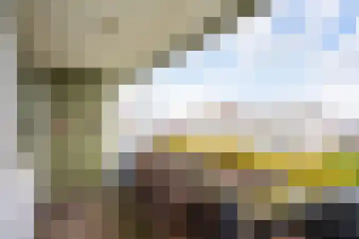 Van Vollenhovenlaan 265 Utrecht thumbnail 6