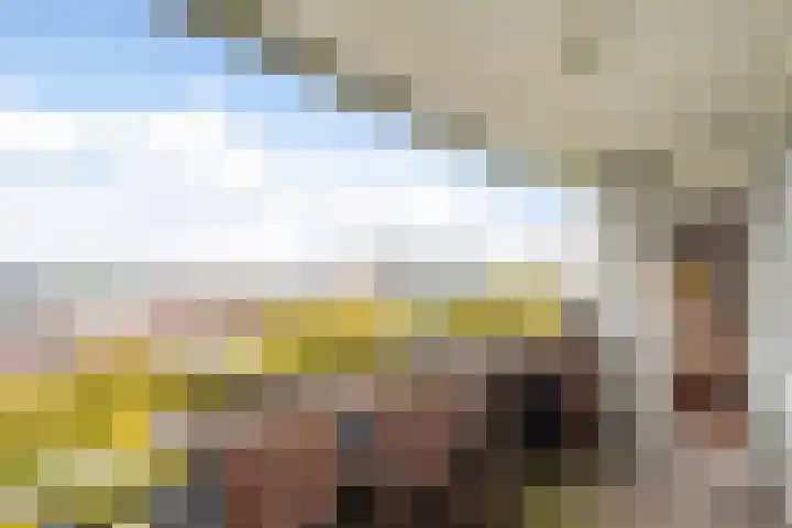 Van Vollenhovenlaan 265 Utrecht thumbnail 7