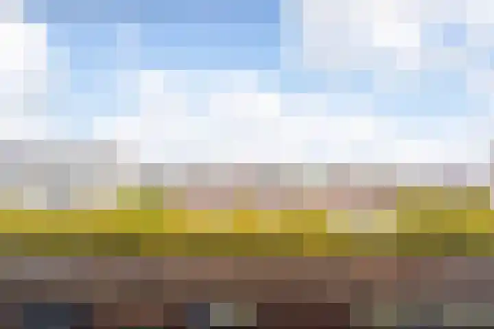 Van Vollenhovenlaan 265 Utrecht thumbnail 8
