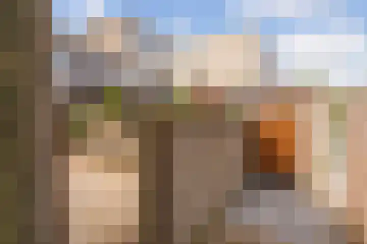 Van Vollenhovenlaan 278 Utrecht thumbnail 12