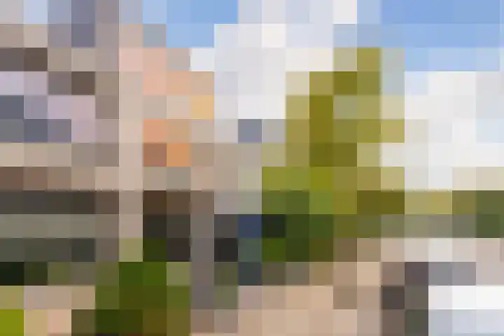 Van Vollenhovenlaan 278 Utrecht thumbnail 25