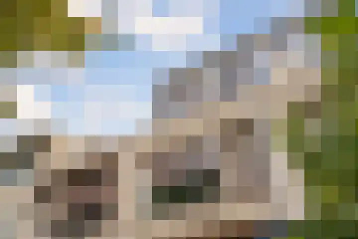 Van Vollenhovenlaan 278 Utrecht thumbnail 26