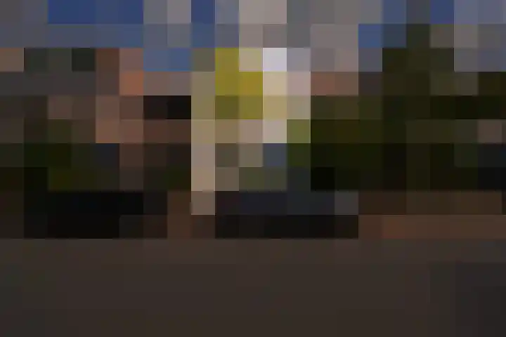 Van Vollenhovenlaan 278 Utrecht thumbnail 28