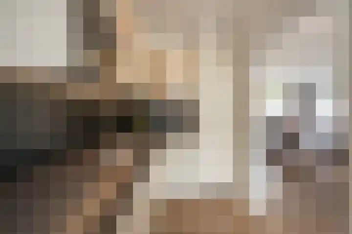 Van Vollenhovenlaan 278 Utrecht thumbnail 7