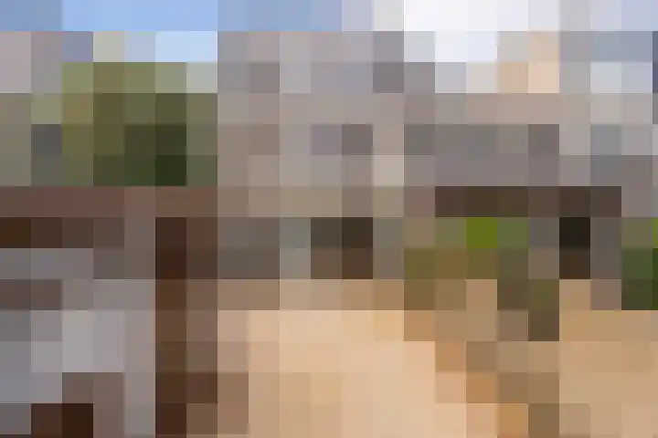 Van Vollenhovenlaan 278 Utrecht thumbnail 9