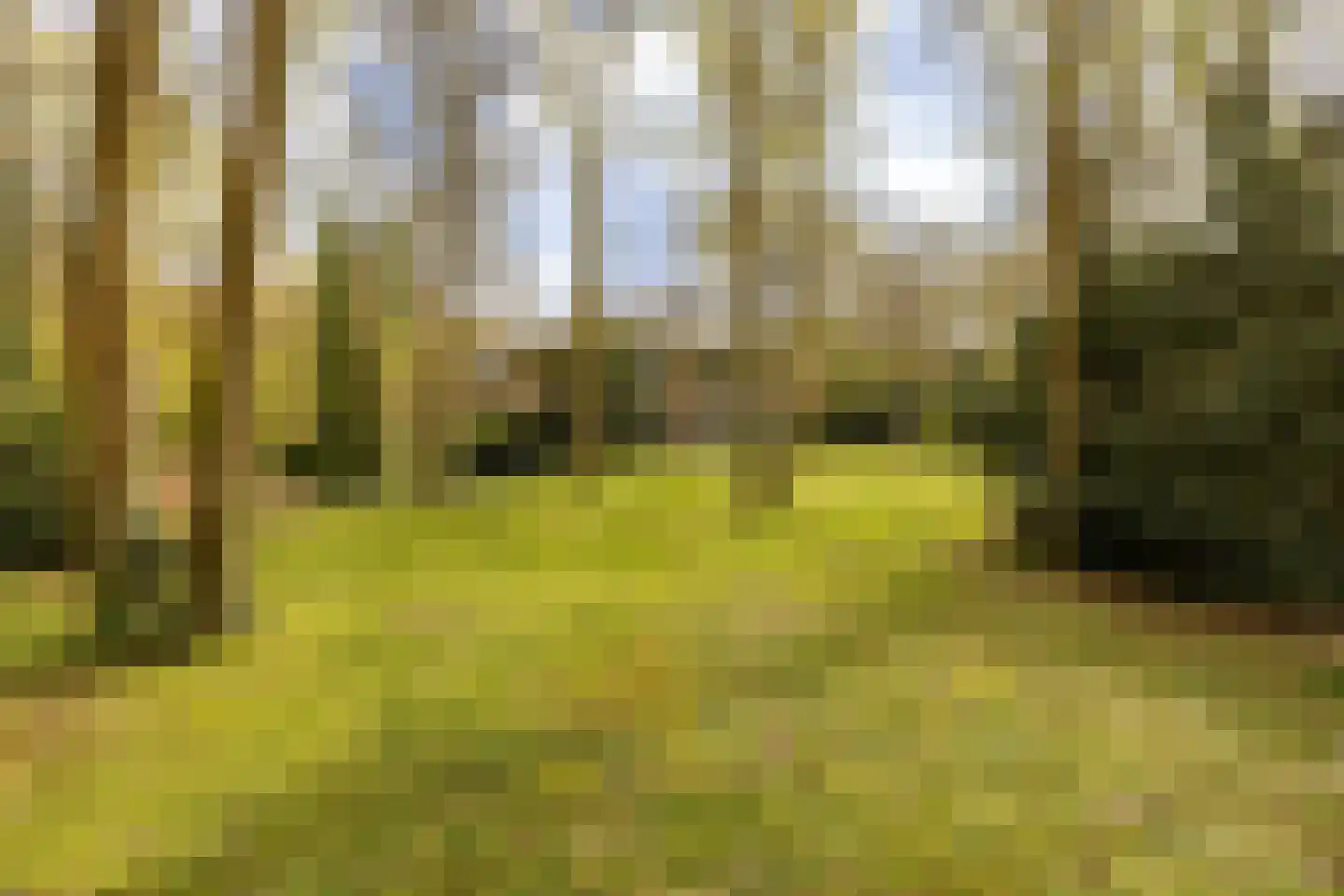 Van Vollenhovenlaan 28 Aerdenhout thumbnail 4