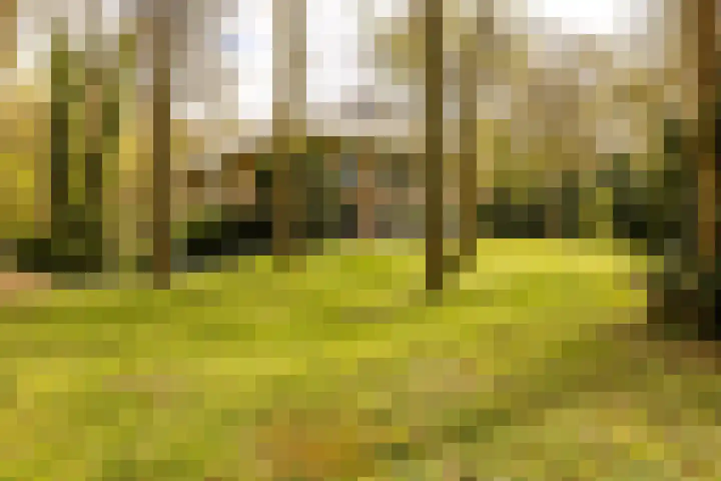 Van Vollenhovenlaan 28 Aerdenhout thumbnail 42