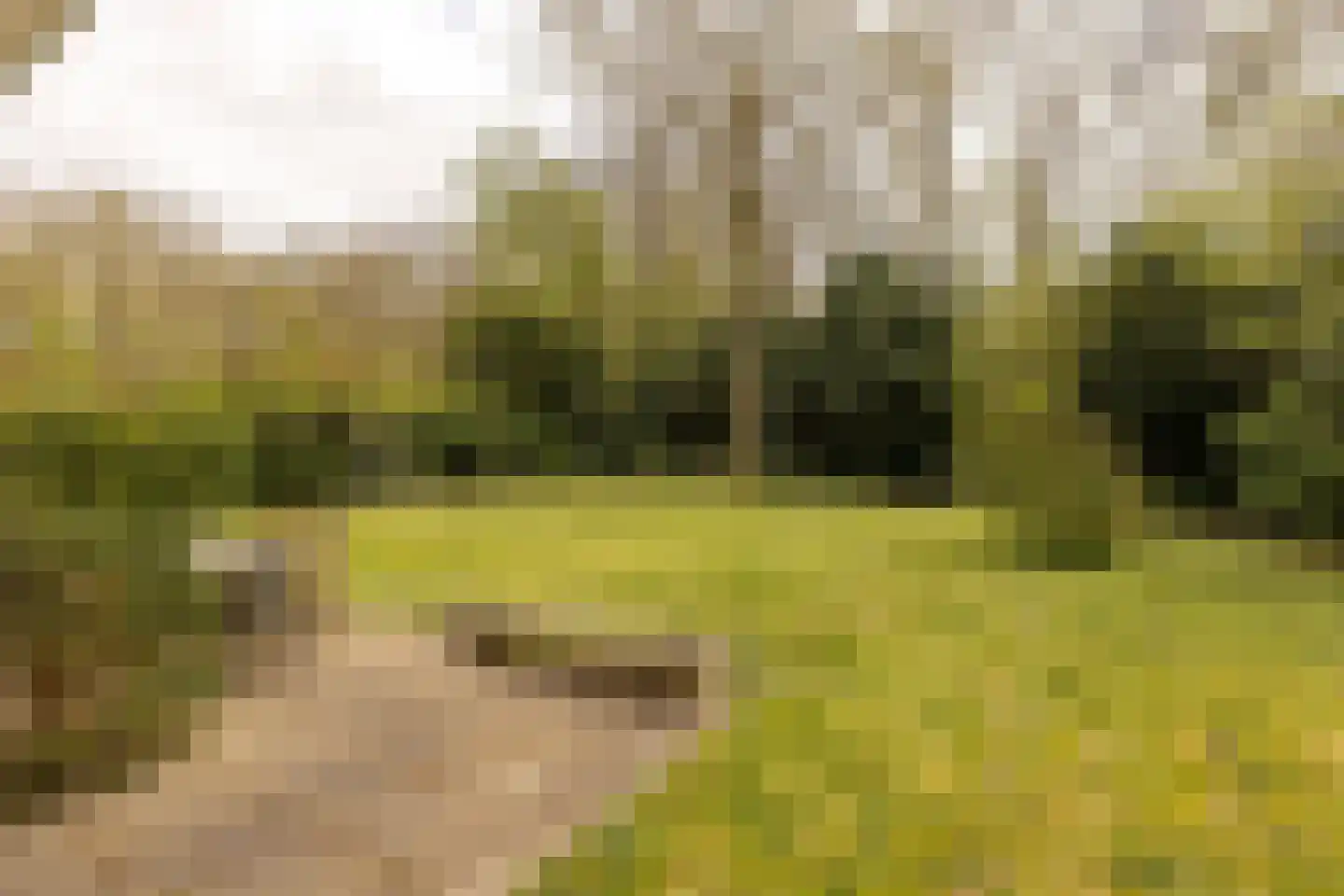 Van Vollenhovenlaan 28 Aerdenhout thumbnail 46
