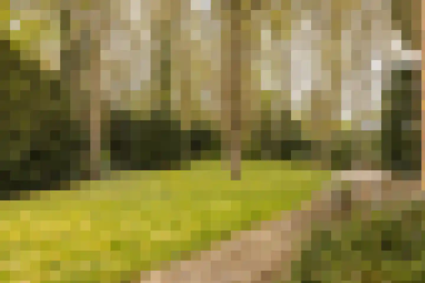 Van Vollenhovenlaan 28 Aerdenhout thumbnail 47