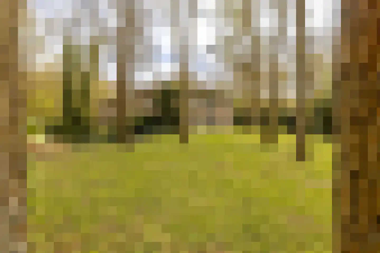 Van Vollenhovenlaan 28 Aerdenhout thumbnail 48