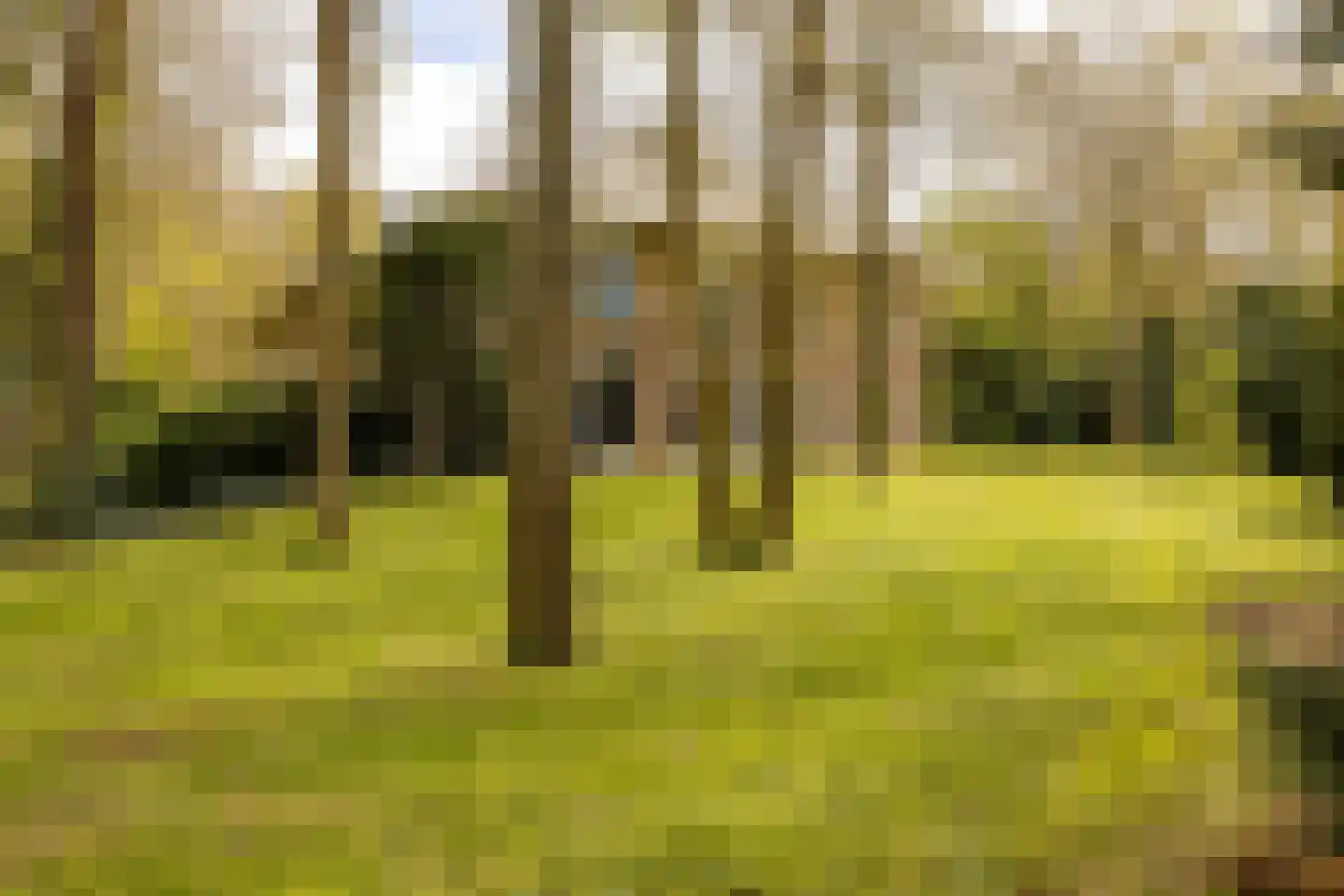 Van Vollenhovenlaan 28 Aerdenhout thumbnail 5