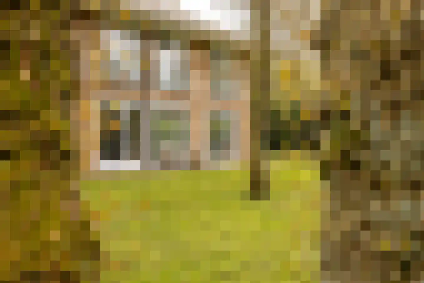 Van Vollenhovenlaan 28 Aerdenhout thumbnail 6