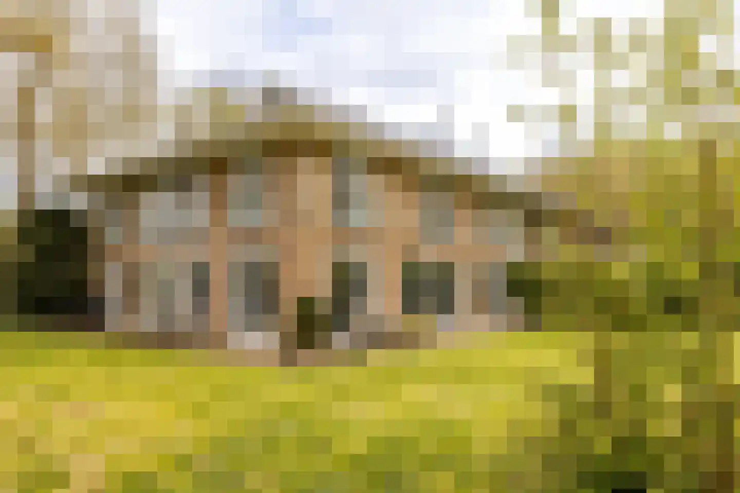 Van Vollenhovenlaan 28 Aerdenhout thumbnail 7