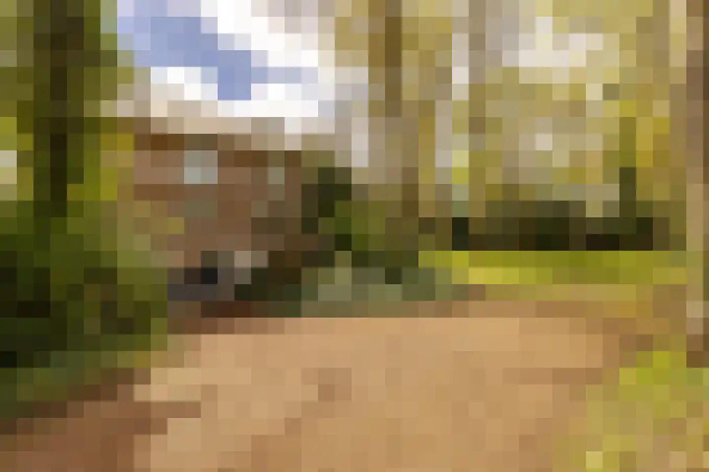 Van Vollenhovenlaan 28 Aerdenhout thumbnail 9