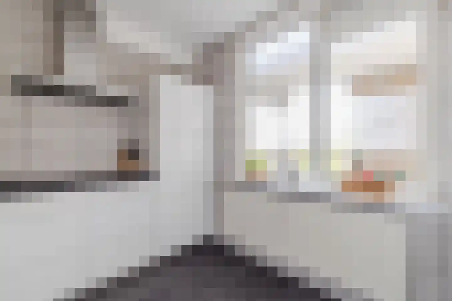 Van Vollenhovenlaan 28 Utrecht thumbnail 11