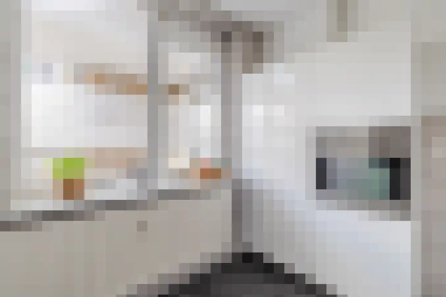 Van Vollenhovenlaan 28 Utrecht thumbnail 12