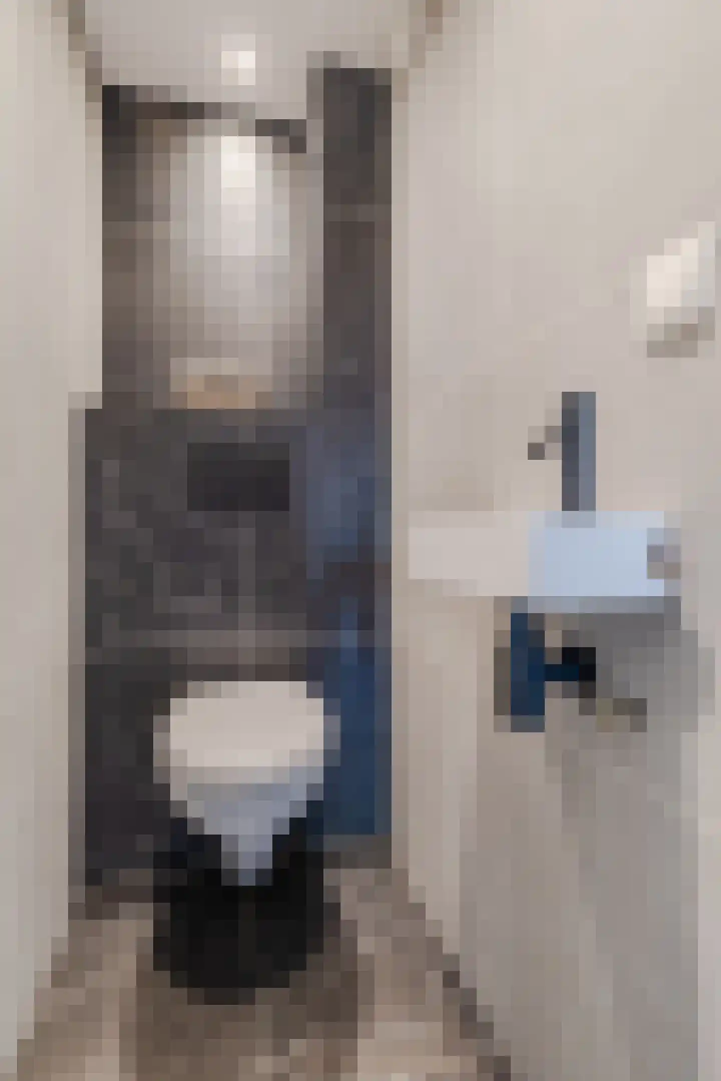 Van Vollenhovenlaan 28 Utrecht thumbnail 24
