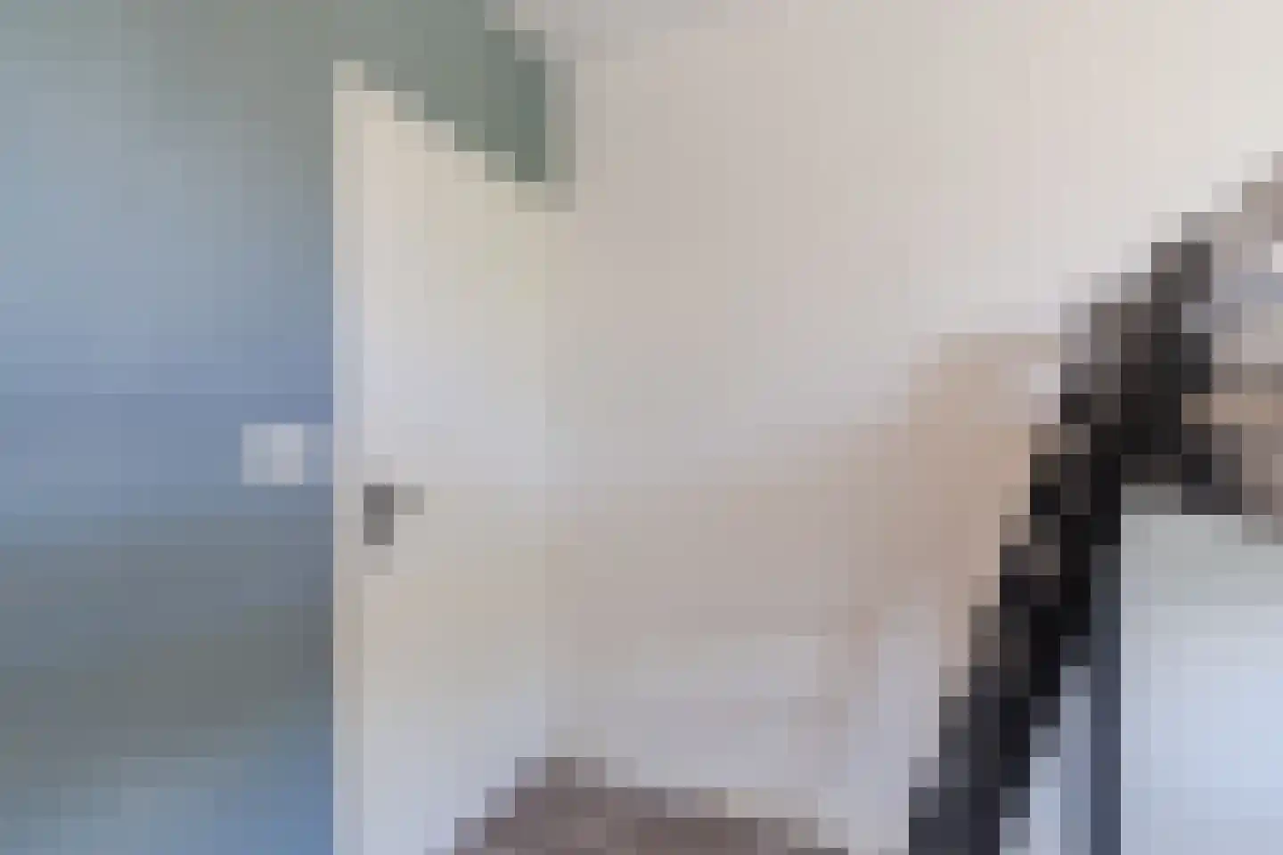 Van Vollenhovenlaan 28 Utrecht thumbnail 31