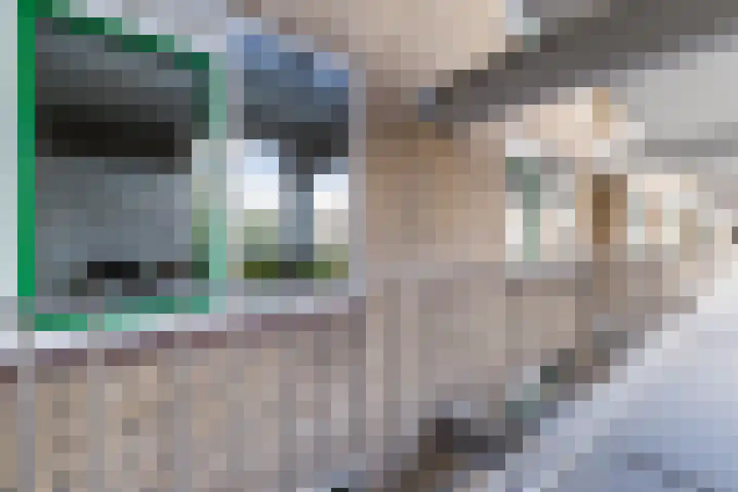 Van Vollenhovenlaan 28 Utrecht thumbnail 46