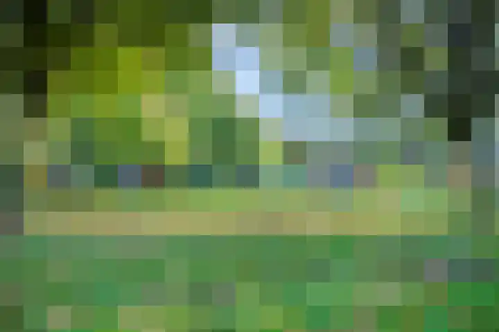 Van Vollenhovenlaan 281 Utrecht thumbnail 33