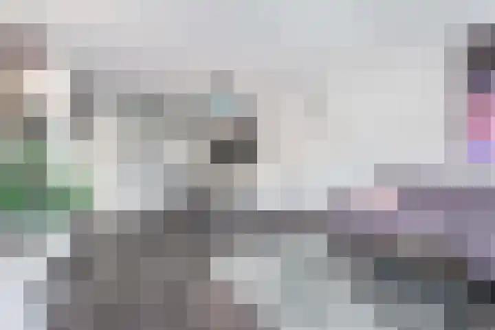 Van Vollenhovenlaan 301 Utrecht thumbnail 11