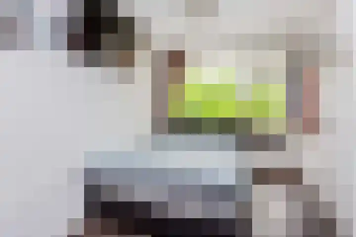 Van Vollenhovenlaan 301 Utrecht thumbnail 18