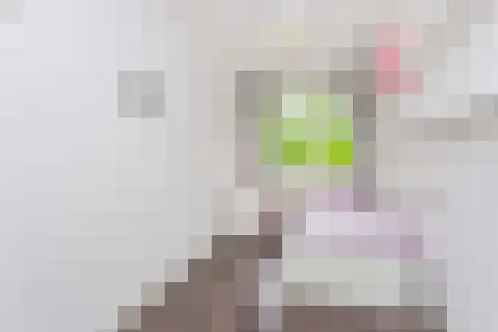 Van Vollenhovenlaan 301 Utrecht thumbnail 20