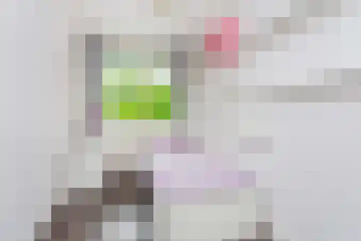 Van Vollenhovenlaan 301 Utrecht thumbnail 21