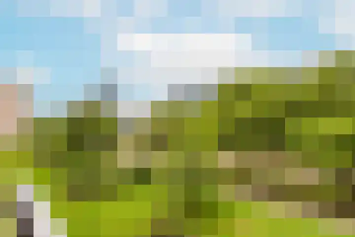 Van Vollenhovenlaan 301 Utrecht thumbnail 5