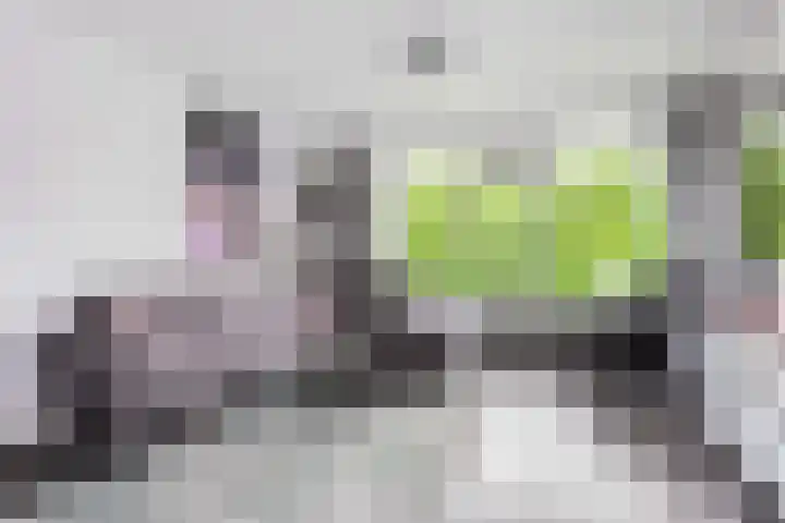 Van Vollenhovenlaan 301 Utrecht thumbnail 9