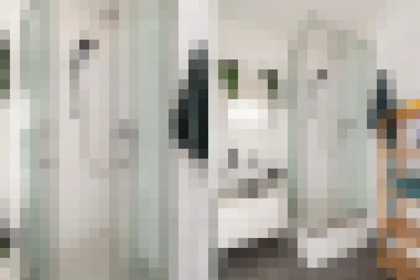 Van Vollenhovenlaan 33 Utrecht thumbnail 18