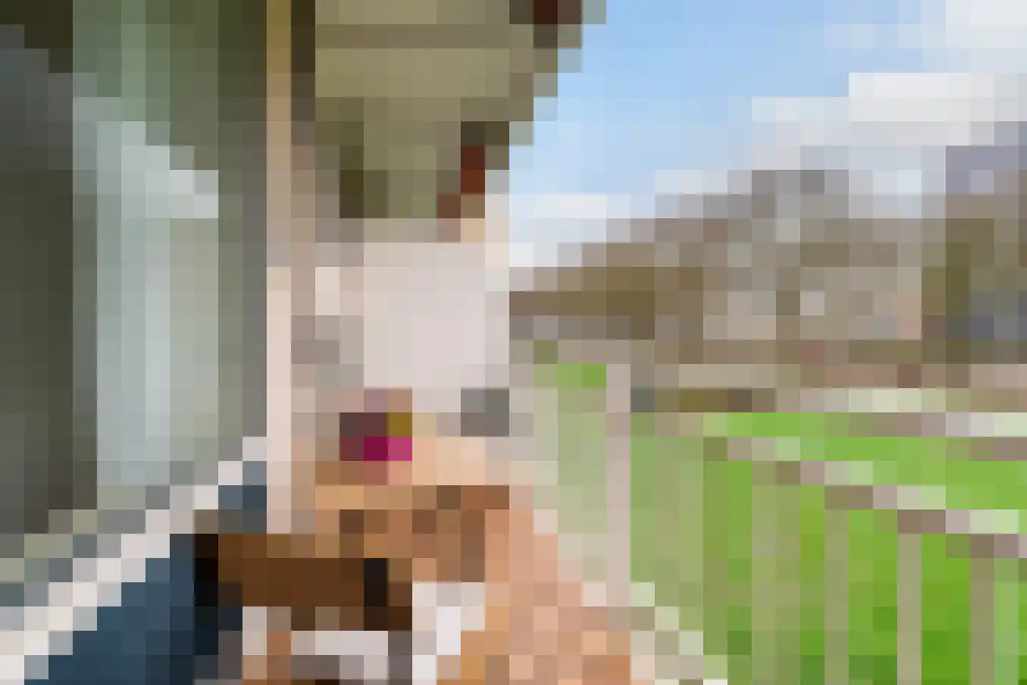 Van Vollenhovenlaan 33 Utrecht thumbnail 8