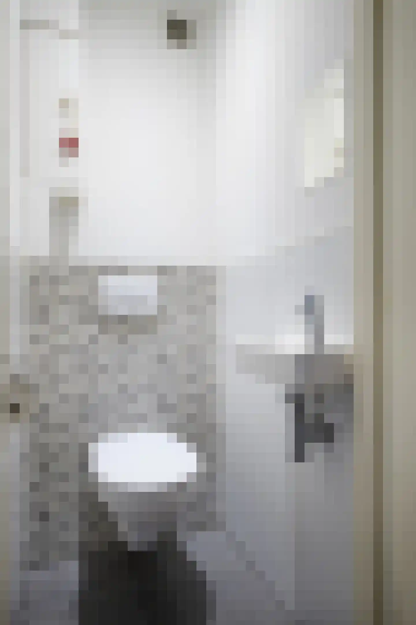 Van Vollenhovenlaan 373 Utrecht thumbnail 13