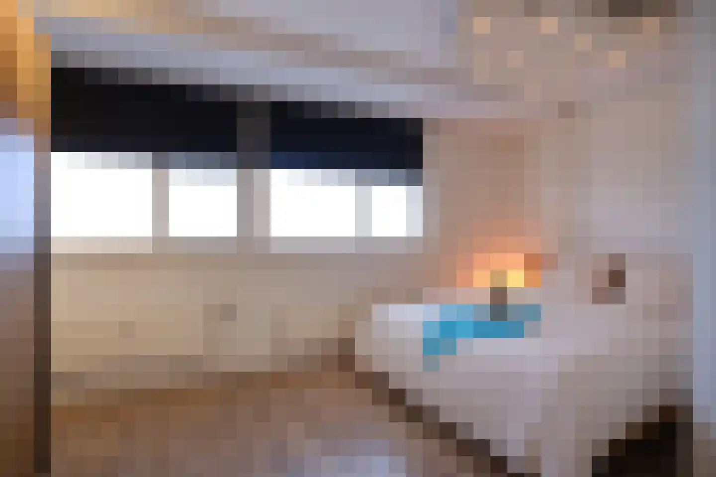 Van Vollenhovenlaan 373 Utrecht thumbnail 5