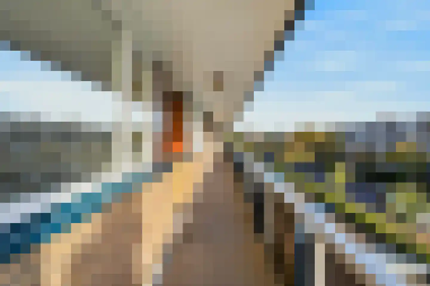 Van Vollenhovenlaan 385 Utrecht thumbnail 5