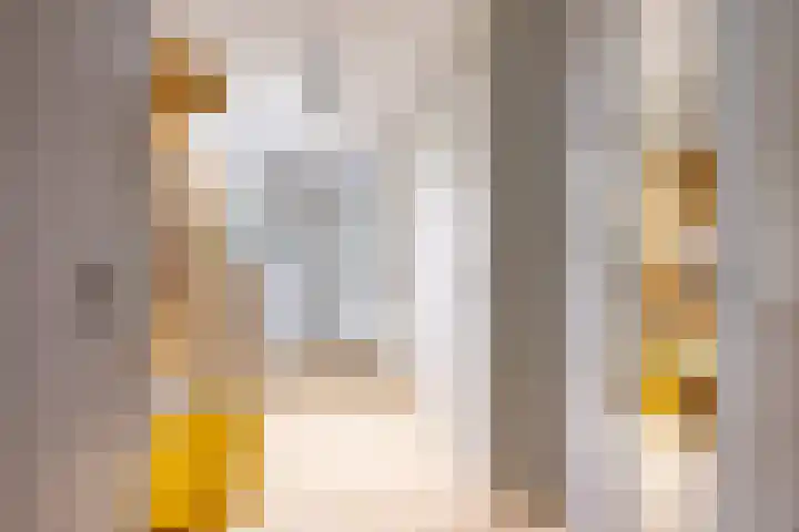 van Vollenhovenlaan 42 Rijswijk thumbnail 12