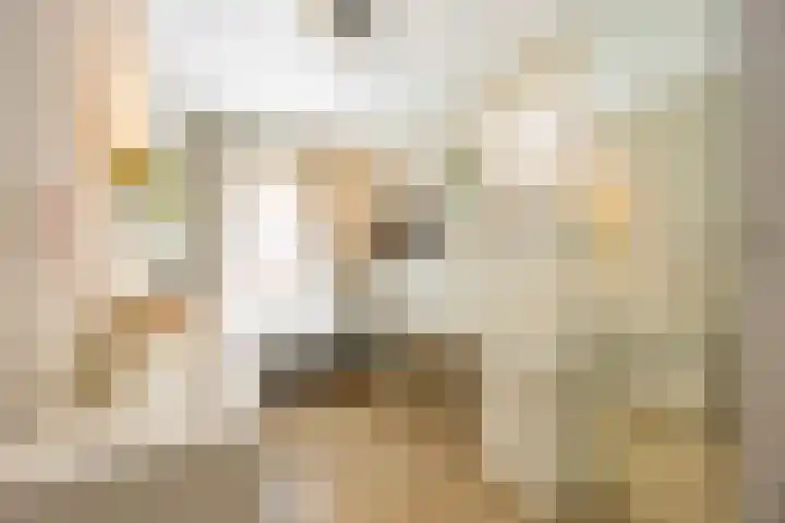 van Vollenhovenlaan 42 Rijswijk thumbnail 32