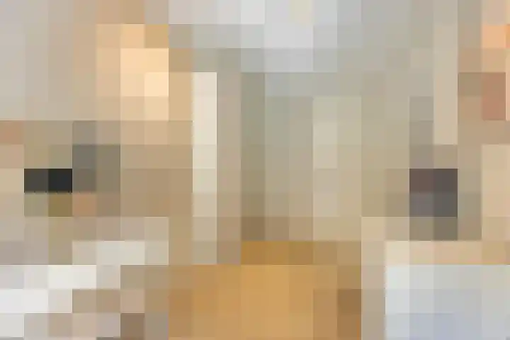 van Vollenhovenlaan 42 Rijswijk thumbnail 33