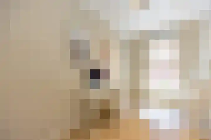 van Vollenhovenlaan 42 Rijswijk thumbnail 34