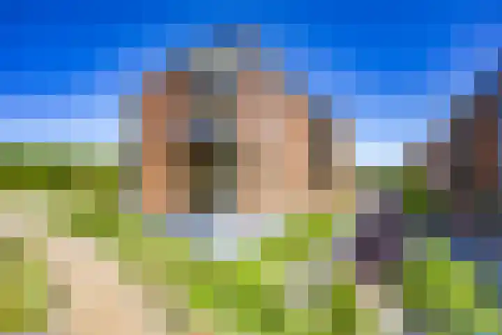 van Vollenhovenlaan 42 Rijswijk thumbnail 42