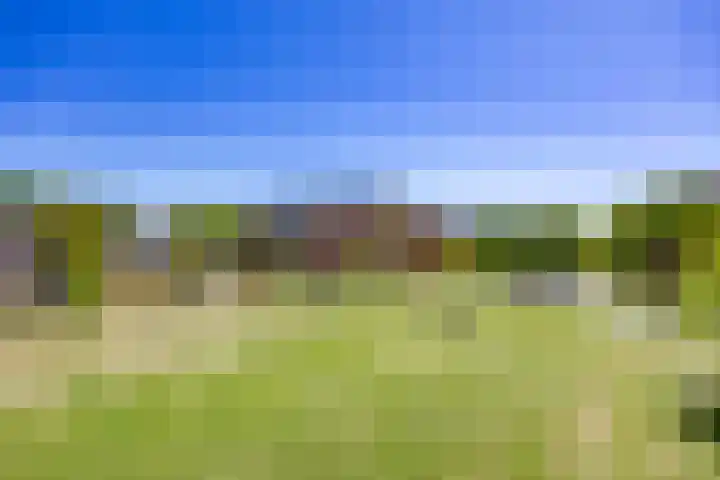 van Vollenhovenlaan 42 Rijswijk thumbnail 46