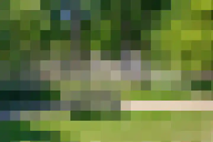 van Vollenhovenlaan 42 Rijswijk thumbnail 47