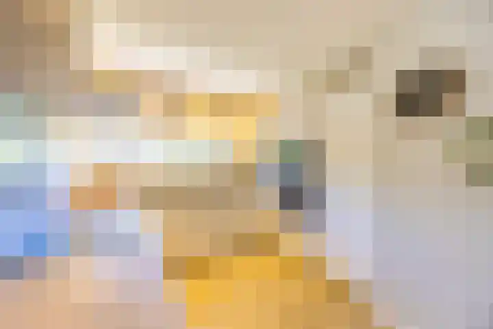 van Vollenhovenlaan 42 Rijswijk thumbnail 5