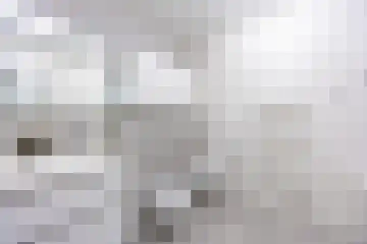 van Vollenhovenlaan 42 Rijswijk thumbnail 6